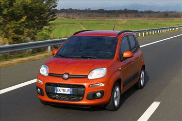 fiat panda