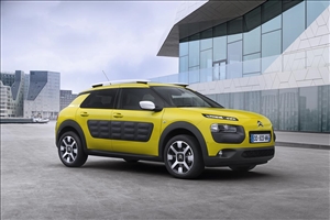 Asta per la C4 Cactus 