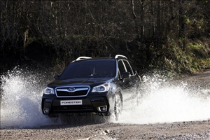 La nuova Forester MY15 - image 1_midi on https://motori.net
